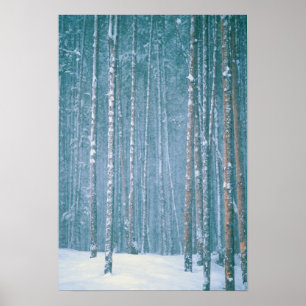 NA, USA, WY Schneewinterszene Poster