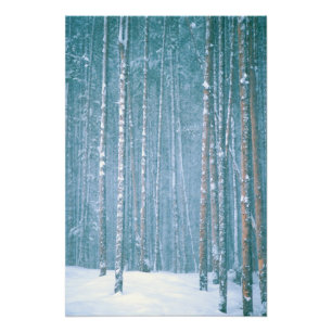 NA, USA, WY. Winterlandschaft unter Fotodruck