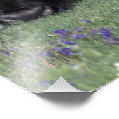 NA, USA, Wyoming, Yellowstone National Park. Fotodruck (Ecke)