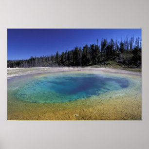 NA, USA, Wyoming, Yellowstone Nationalpark.  2 Poster
