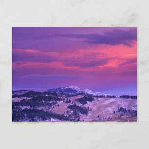 NA, USA, Wyoming, Yellowstone NP, Lamar Valley Postkarte
