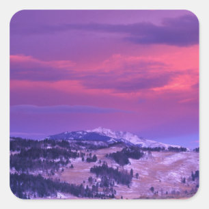 NA, USA, Wyoming, Yellowstone NP, Lamar Valley Quadratischer Aufkleber
