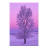 NA, USA, Wyoming, Yellowstone NP, Landschaft Fotodruck (Vorne)