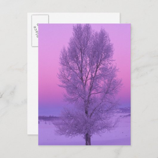 NA, USA, Wyoming, Yellowstone NP, Landschaft Postkarte (Vorne/Hinten)