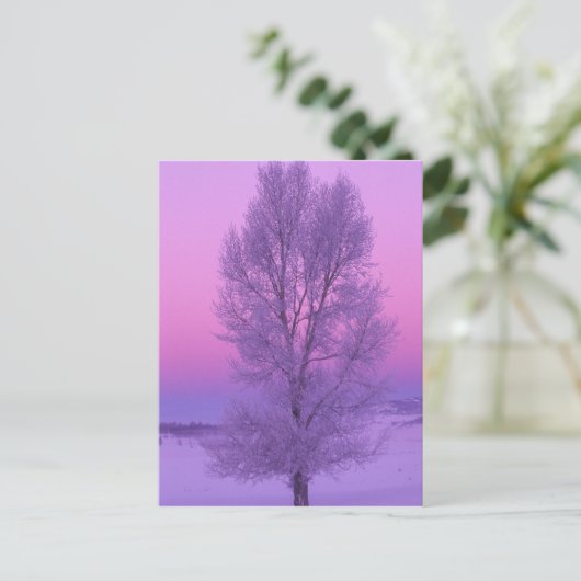 NA, USA, Wyoming, Yellowstone NP, Landschaft Postkarte (Stehend Vorderseite)