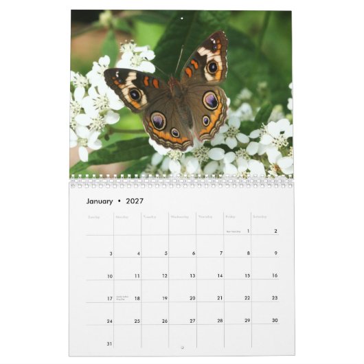 NABA-Sitzungskalender Kalender (Jan 2027)