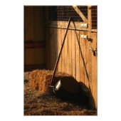 Nach Abend Chores Fotodruck (Vorne)