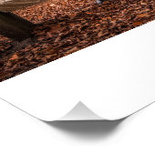 Nach all dieser Zeit...Immer Poster (Ecke)