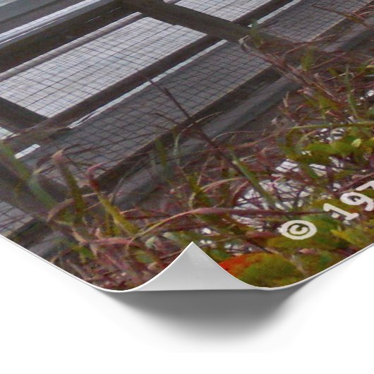 NACH AWHILE POSTER (Ecke)