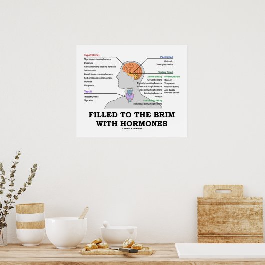 Nach Brille gefüllt mit Hormonen endokriner Spaß Poster (Küche)