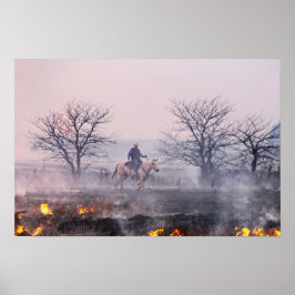 Nach dem Brand der Prärie, den Flint Hills, Kansas Poster
