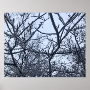 Nach dem Eissturm Poster