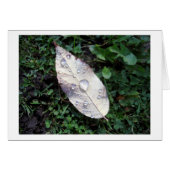 Nach dem Regen (Vorderseite (Horizontal))