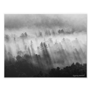 Nach dem Regen - Früher Morgen in den Adirondacks Fotodruck