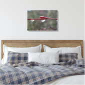 Nach dem Regen Leinwanddruck (Insitu (Schlafzimmer))