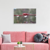 Nach dem Regen Leinwanddruck (Insitu (Wohnzimmer))
