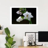 Nach dem Regen Poster (Heimbüro)