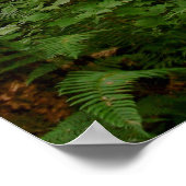 nach dem Regen Poster (Ecke)