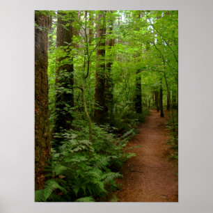 nach dem Regen Poster