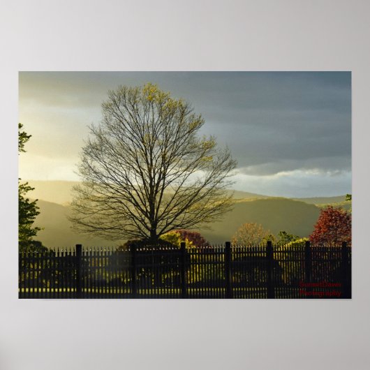 Nach dem Regen Poster (Vorne)