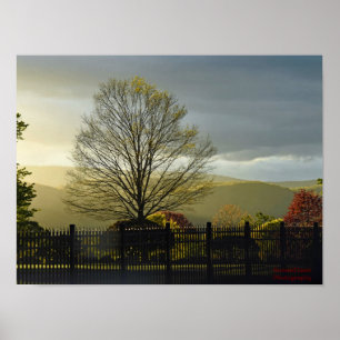 Nach dem Regen Poster