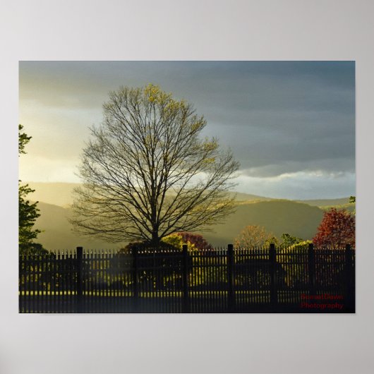Nach dem Regen Poster (Vorne)