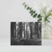 Nach dem Regen Postkarte (Stehend Vorderseite)