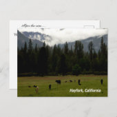 Nach dem Regen....... Postkarte (Vorne/Hinten)