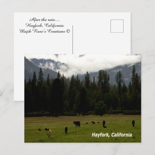 Nach dem Regen....... Postkarte (Vorne/Hinten)