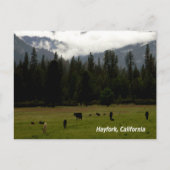 Nach dem Regen....... Postkarte (Vorderseite)