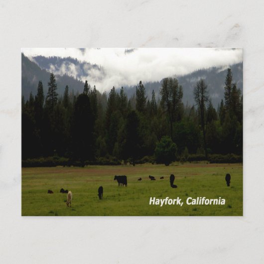 Nach dem Regen....... Postkarte (Vorderseite)