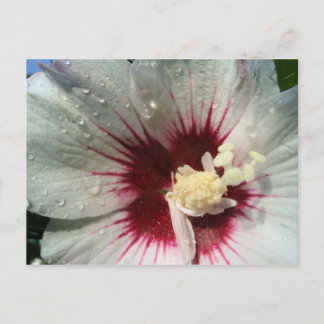 Nach dem Regen Postkarte