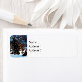 Nach dem Schneesturm (Insitu)