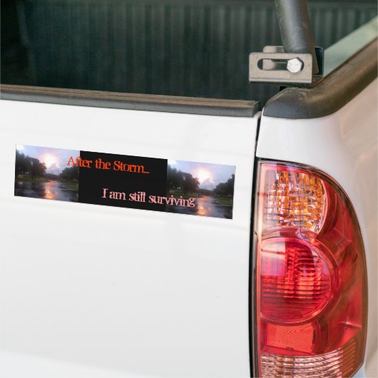 Nach dem Sturm Autoaufkleber (Auf Lkw)