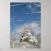 Nach dem Sturm Poster (Vorne)