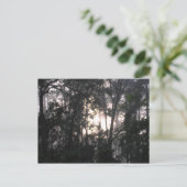 Nach dem Sturm - Postkarte Nr. 2 (Stehend Vorderseite)