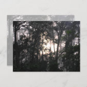 Nach dem Sturm - Postkarte Nr. 2 (Vorne/Hinten)