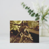 Nach der Liebe ist weg. Postkarte (Stehend Vorderseite)