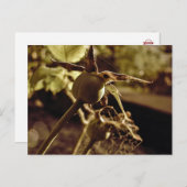 Nach der Liebe ist weg. Postkarte (Vorne/Hinten)