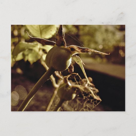 Nach der Liebe ist weg. Postkarte (Vorderseite)