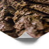 Nach oben Blickend Poster (Ecke)