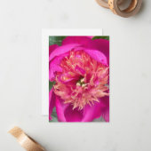 Nach oben nahe Pink-Peony Mitteilungskarte (Vorderseite/Rückseite Beispiel)