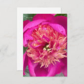 Nach oben nahe Pink-Peony Mitteilungskarte (Vorne/Hinten)
