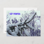 Nach oben: Postkarte (Vorne/Hinten)