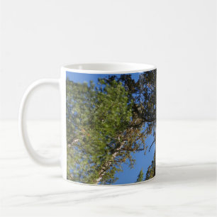 Nach oben schauen im Mariposa Grove Kaffeetasse