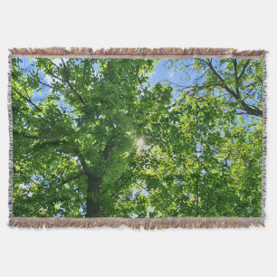 Nach oben schauen zu grünen Blättern und blauem Hi Decke