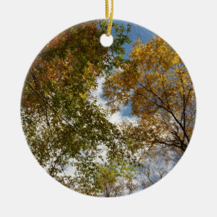Nach oben zu Herbstblättern II Herbst Natur Keramik Ornament