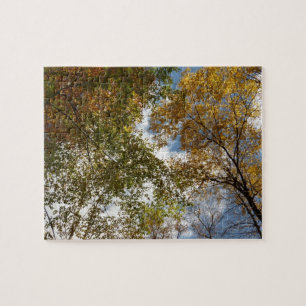 Nach oben zu Herbstlaub II Herbst Natur Puzzle
