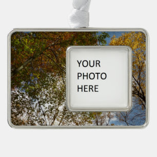 Nach oben zu Herbstlaub II Herbst Natur Rahmen-Ornament Silber