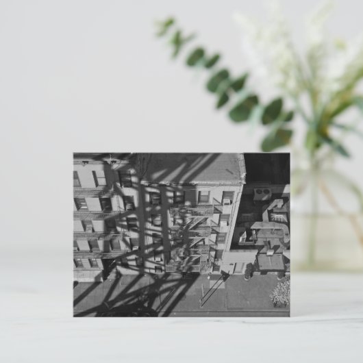 nach Roosevelt. Postkarte (Stehend Vorderseite)